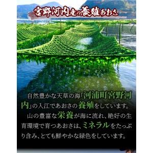 ふるさと納税 S100-001A_天草特産乾燥あおさ25g　6個セット 熊本県天草市