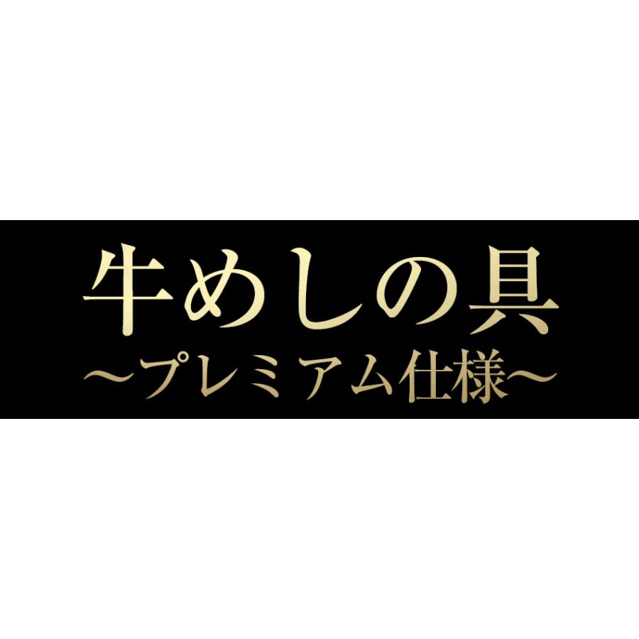 牛丼 牛丼の具 牛ホルモン焼き5個＆松屋オリジナルカレー15袋＆牛めしの具〜プレミアム仕様〜10個セット 通販限定発売 肉 絶品 仕送り 業務用 食品 おかず