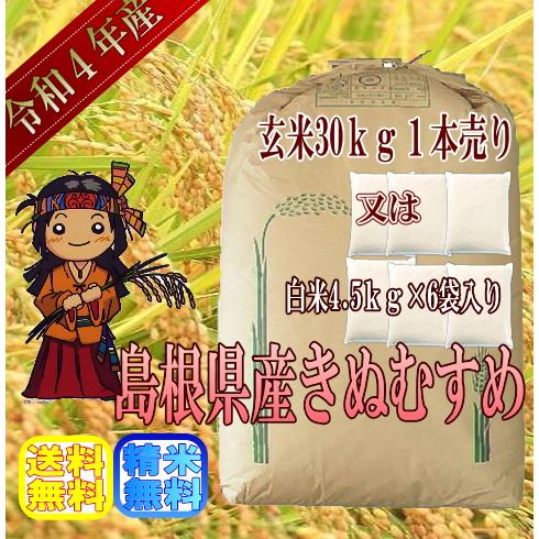 令和5年産　玄米30kg  　島根県産きぬむすめ　　送料無料（一部地域を除く）