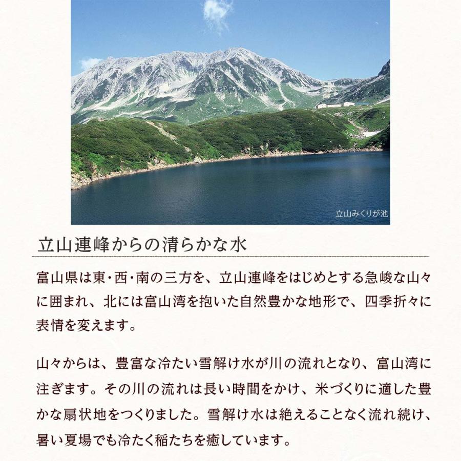 無洗米 5kg 米 コシヒカリ 富山県産 お米 米5kg 無洗米 5キロ 送料無料 米無洗米 白米 おこめ 宅配 送料無 安い 格安 生活応援 令和5年産 新米 単一原料米