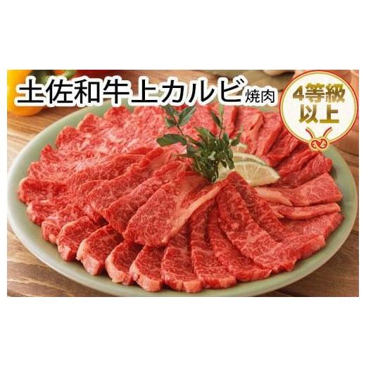 ふるさと納税 高知県 高知市 土佐和牛上カルビ焼肉500g BBQ 牛肉 バーベキュー 高知県産