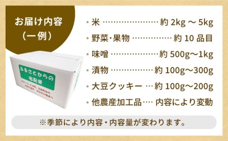 農産物直売所おススメ商品詰め合わせ 野菜 米 加工品 野菜 フルーツ 米 漬物[HAG001]