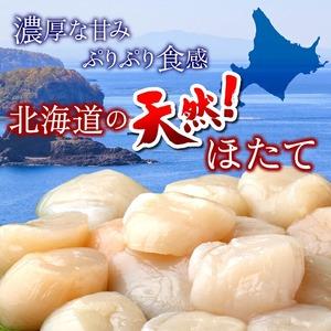 ふるさと納税 130028 訳あり 冷凍ほたて貝柱(500g)     北海道石狩市