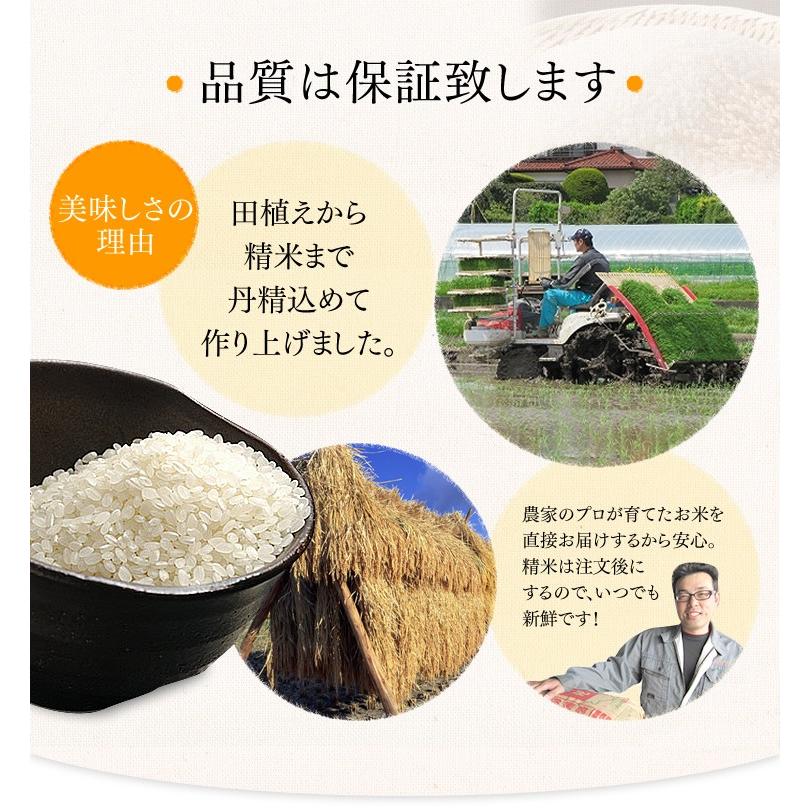 ササニシキ 5kg お米 5kg ささにしき 送料無料 白米 一等米 米5kg 安い 一等米 宮城県産 白米 うるち米 精白米 ご飯 令和5年産