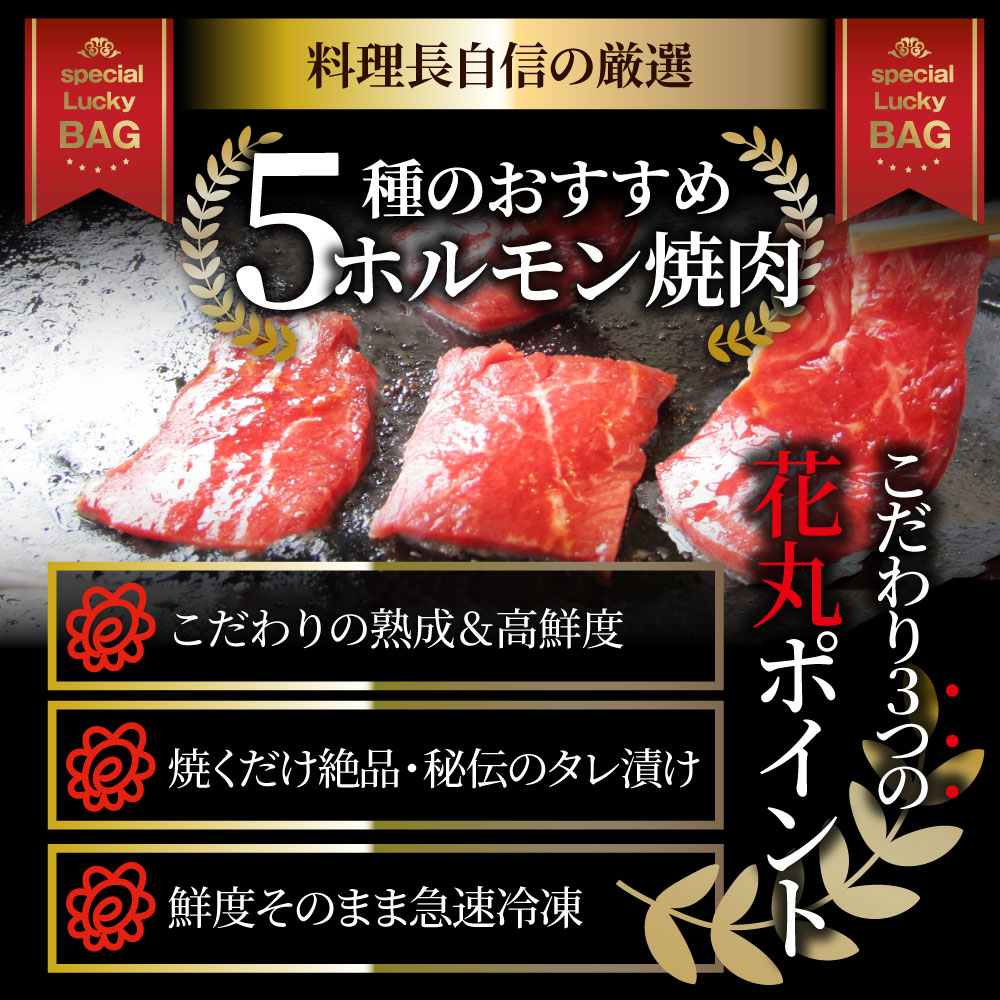 焼肉 セット 牛肉 肉 ホルモンセット 5種盛り 食べ比べ5人前