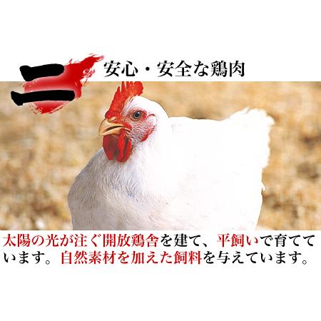 ふるさと納税 唐津市産 若鳥もも肉むね肉ささみ合計6kgセット 鶏肉 唐揚げ 親子丼 お弁当「2023年 令和5年」 佐賀県唐津市