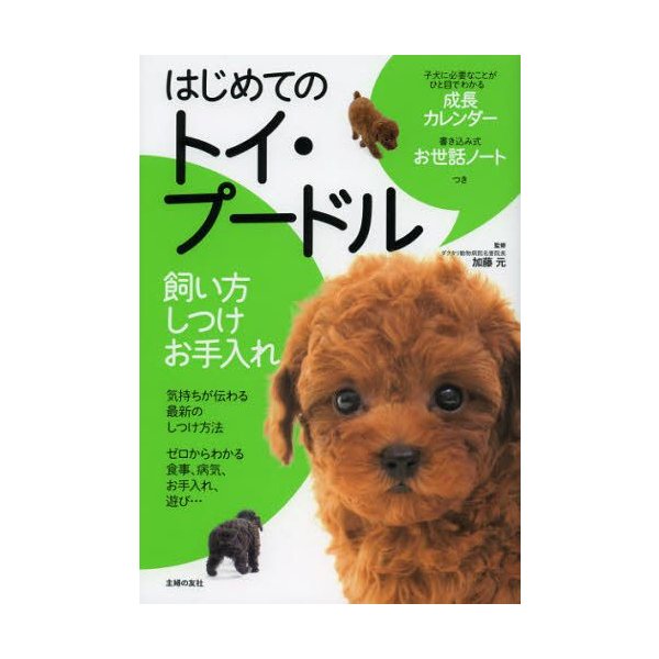 はじめてのトイ プードル 飼い方 しつけ お手入れ 通販 Lineポイント最大0 5 Get Lineショッピング