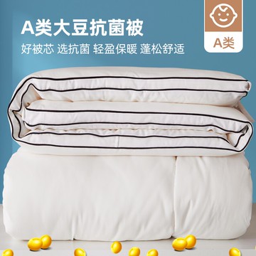 大豆纖維被冬季被子冬天棉被冬被加厚保暖被芯秋冬宿舍單人大豆被