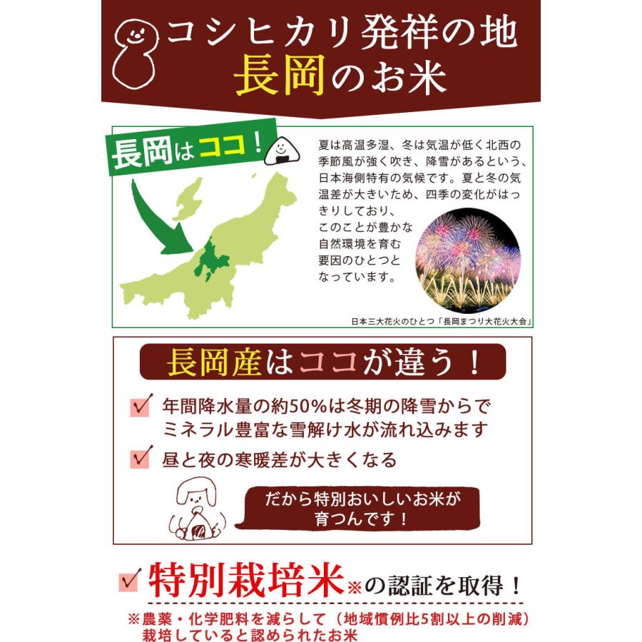 お米 5kg 送料無料 特別栽培米 長岡産コシヒカリ 新潟米 令和４年産  ギフト 内祝い