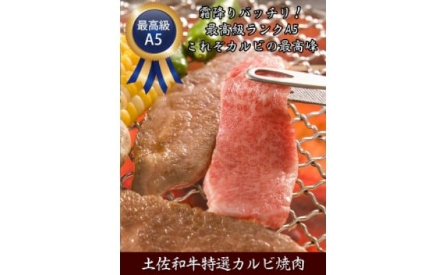 　特選カルビ 500g＜高知市共通返礼品＞