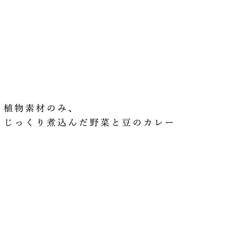 レトルトカレー 無添加 三育フーズ 野菜と豆のカレー 180g 購入金額別特典あり マクロビオティック 正規品 国産 畜肉 魚肉