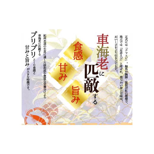 ふるさと納税 和歌山県 太地町 紀州和歌山産天然足赤えび540g（270g×2パック）化粧箱入 ※2023年11月上旬〜2024年2月下旬頃順次発送予定（お届け日指定不可）…