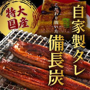 R6102_紀州備長炭焼き 特大 うなぎ 蒲焼き(国産)