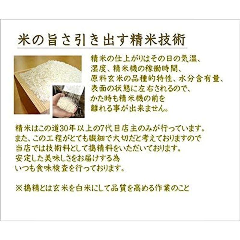 新潟県産 コシヒカリ 令和3年産 精米 ５ｋｇ×２袋 （１０ｋｇ）
