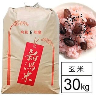 令和5年産 おいしいもち米 新潟県産わたぼうし 1等玄米