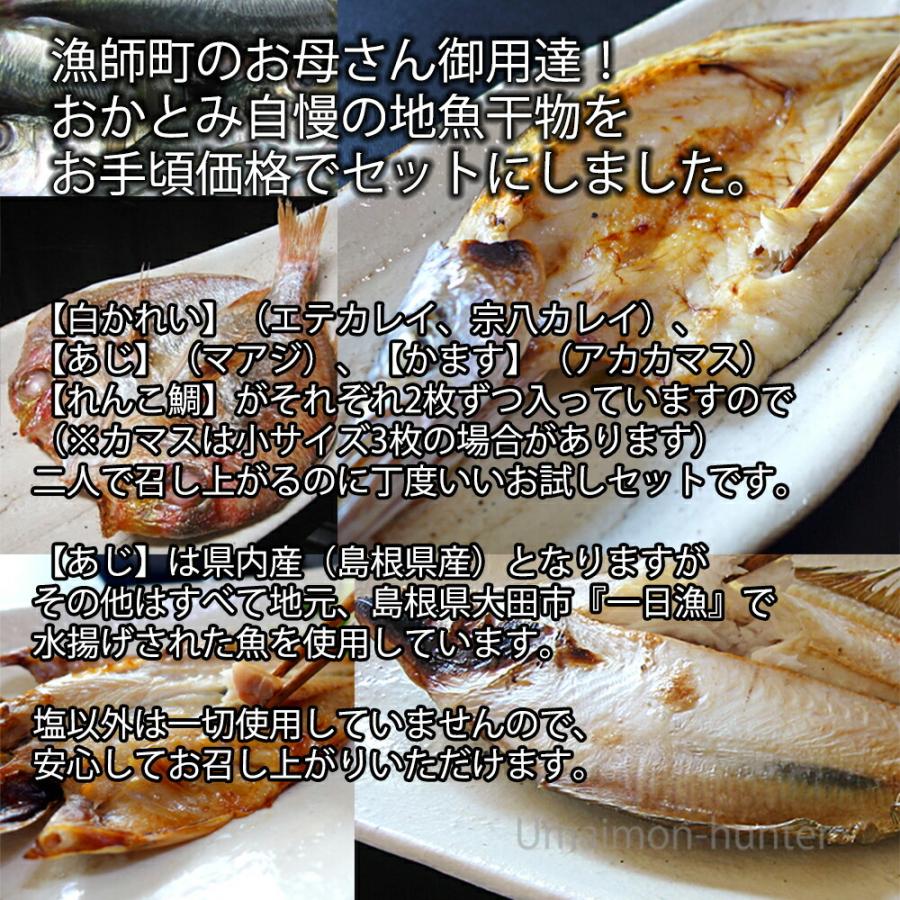 ギフト 二人前地魚ひものセット 岡富商店 エテかれい あじ かます れんこ鯛 島根沖産魚 お取り寄せ食材 贈り物に