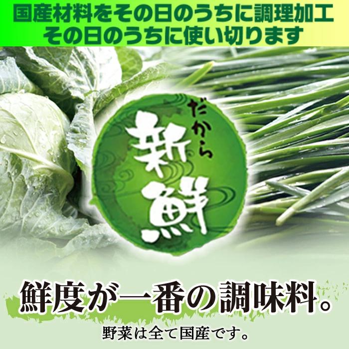 もちもち国産ジャンボ水餃子40個＆もちもち海老水餃子40個セット 大きい ぷりぷり 水餃子 冷凍餃子 餃子 海老 エビ えび 国産豚肉 おかず おつまみ ギョーザ