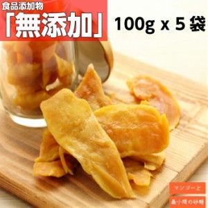 送料無料 食品添加物無添加 ドライマンゴー 500g(100g x 5袋) セブ島産