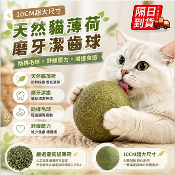 巨無霸👍10cm貓薄荷球 隔日到 蟲癭果球 貓咪玩具 旋轉貓薄荷球 貓咪磨牙球  貓薄荷玩具  去毛球 貓草球2709