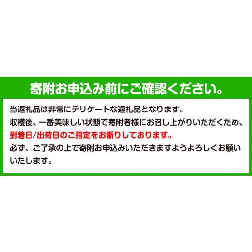 ふるさと納税 和歌山県 紀の川市 あら川の桃 (ご家庭用) 約3.5-4kg (15-16個) 橋村農園《2024年6月下旬-8月上旬頃より順次出荷》和歌山県 紀の川…