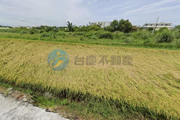 $亮菁菁桃園觀音崙坪國小崙坪地景園區美農地｜桃園市觀音區忠富段