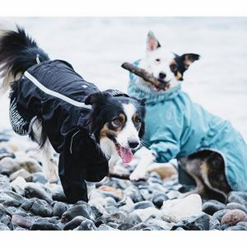 フルッタ レインブロッカー ミント 30 レインコート マントタイプ 犬用 通販 Lineポイント最大1 0 Get Lineショッピング