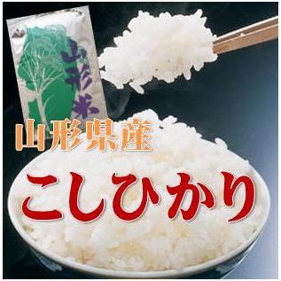 令和５年産 山形県産 コシヒカリ 精米3袋小分け（約2６kg） 送料無料