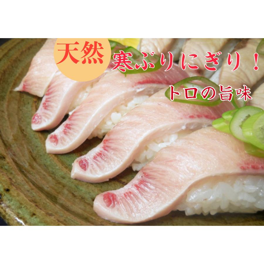 ぶりしゃぶ セット 天然 ブリしゃぶ ぶり 鰤 3人前 お歳暮 送料無料 御祝 ギフト ブリ 刺身 トロ400ｇ 取り寄せ 野菜を用意するだけ 賞味期限冷凍10日