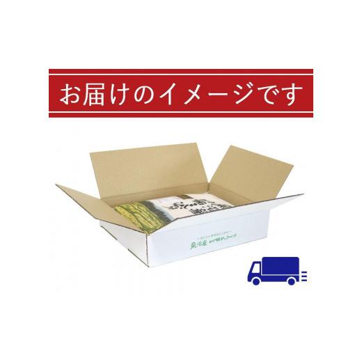 ふるさと納税 新潟県 十日町市 魚沼産川西こしひかり2kg　新潟県認証特別栽培米　令和5年度米