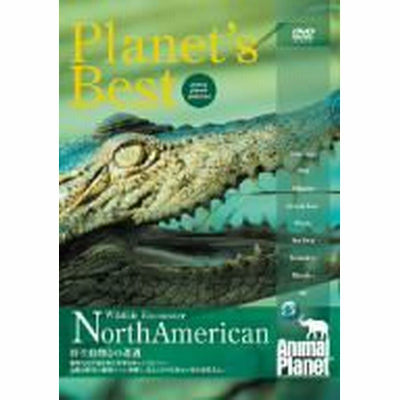 アニマルプラネット プラネッツベスト 野生動物との遭遇 Dvd 中古品 通販 Lineポイント最大1 0 Get Lineショッピング
