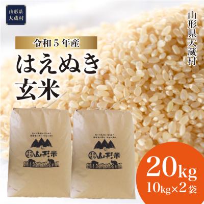 ふるさと納税 大蔵村 令和5年産 はえぬき  20kg　山形県大蔵村