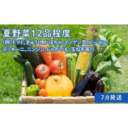 ふるさと納税 「ベジーズ館」の夏・冬野菜　年２回コース （7月と12月発送） 兵庫県相生市