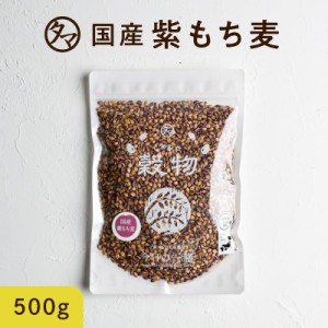 紫もち麦 国産 500g(250g×2袋)  ダイシモチ 無添加 令和元年産 もち麦ごはん 食物繊維 高タンパク β-グルカン ポリフェノール 送料無料