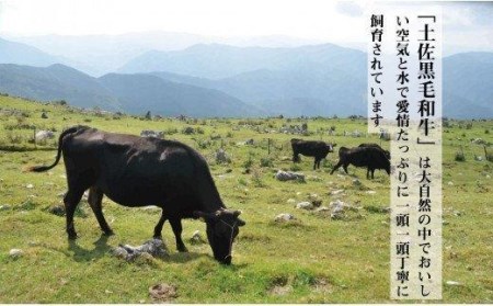 牛肉 焼肉用 800g 霜降り 特選 リブロース 土佐黒毛和牛 Ａ５～Ａ４ 等級 冷凍 高知県 須崎市