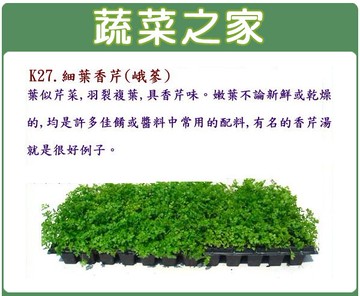 【蔬菜之家】K27.細葉香芹種子(峨蔘)(共有2種包裝可選)
