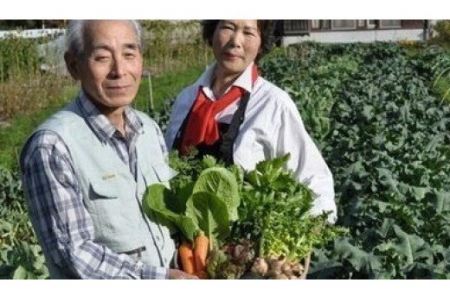 西田農園　季節の野菜詰合せ　Ｂセット 017002