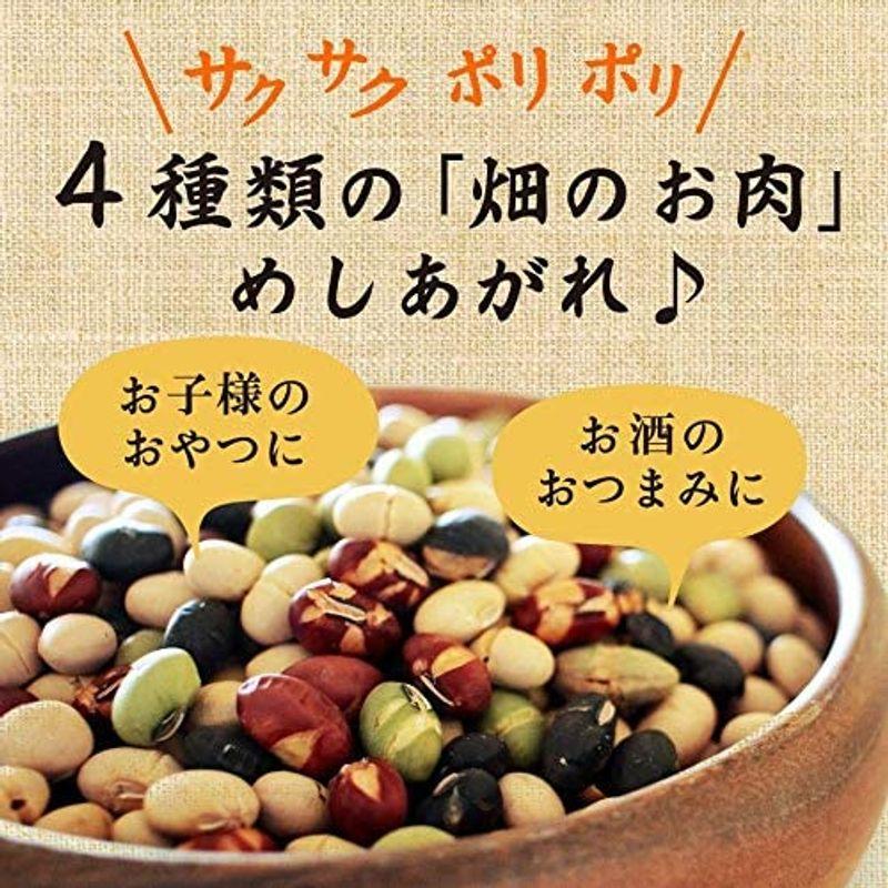 波里 4種の煎り豆ミックス 500g 国産 煎り大豆 無塩 無添加 豆菓子 乾燥豆