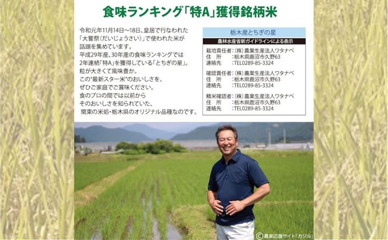 栃木県鹿沼市産 とちぎの星 無洗米 10kg（5kg×2袋） 3回お届け 令和5年産 水稲うるち精米 単一原料米 お米  特A 大粒