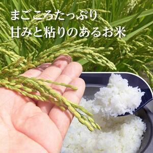 ふるさと納税 L-15 令和5年産アイガモと一緒に育てたお米「愛鴨米・白米」3kg×6回 茨城県行方市