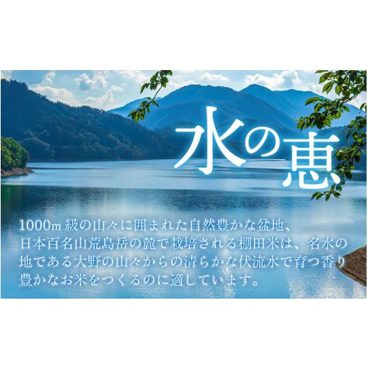 ふるさと納税 福井県 大野市 越前大野産 一等米 帰山農園の「つきあかり」10kg （5kg×2袋）玄米