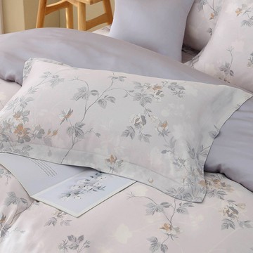 枕套2入/ 天絲300織 / 天絲 萊賽爾 / 梓丹 [鴻宇] 台灣製 - T20193