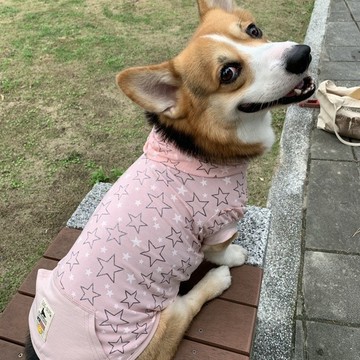 狗狗衣服 柯基衣服 連帽T恤 小型犬 科基 柴犬 福媽寵物