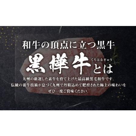 ふるさと納税 くまもと黒毛和牛 杉本本店 黒樺牛 A4~A5等級 サーロインステーキ定期便 400g?3回 熊本県高森町