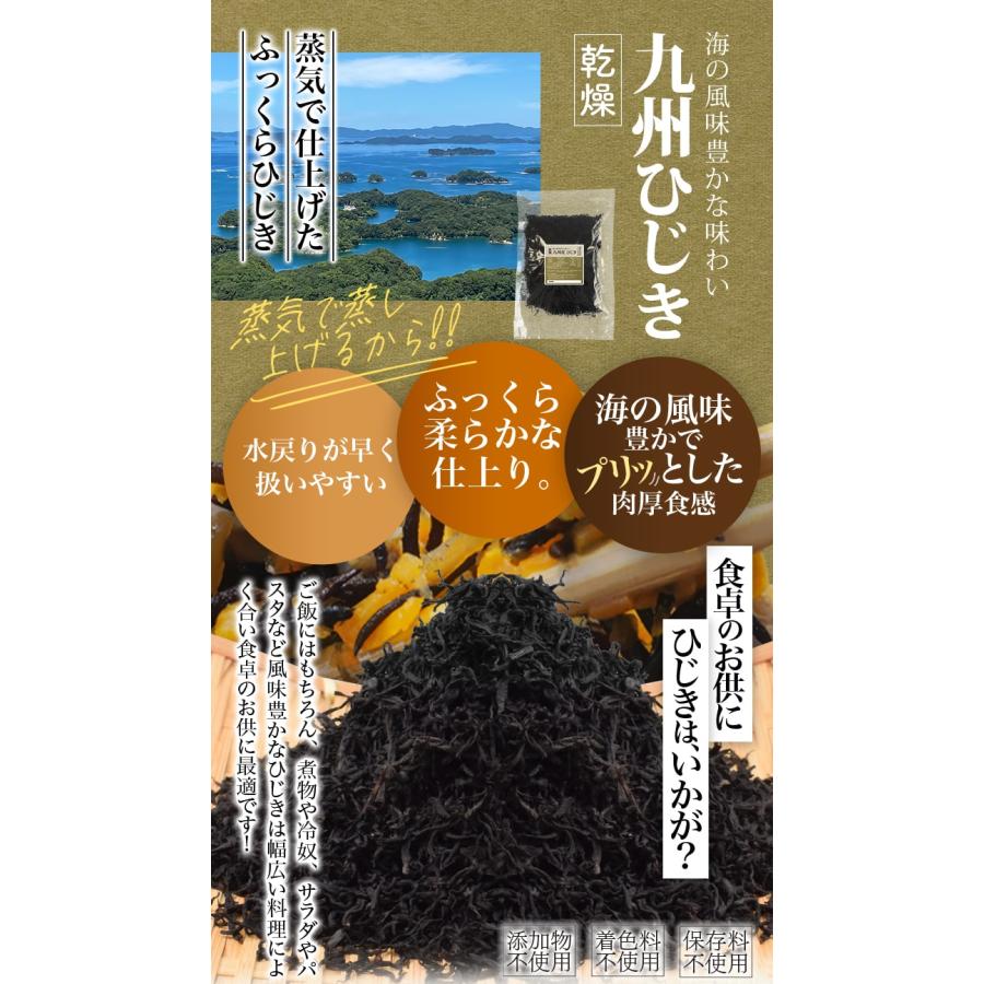 ひじき 九州産 １００ｇ 乾燥ひじき 国産 芽ひじき チャック付袋入