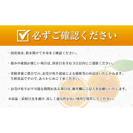 ふるさと納税 宮崎県 日南市 数量限定 不知火 (化粧箱入り)計6kg以上(2箱) フルーツ 果物 柑橘 みかん 黒箱 国産 食品 デザート くだもの 果実 蜜柑 送料無料_…