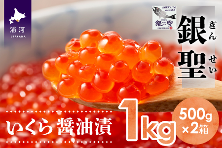 前浜産 ブランド銀毛鮭(天然)「銀聖」いくら醤油漬(500g×2箱)[02-298]