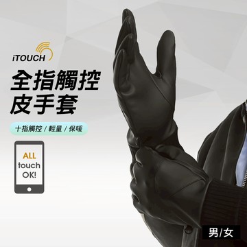 iTOUCH十指觸控皮手套