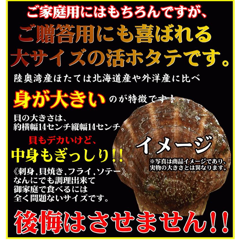 青森 ホタテ 殻付き 活ほたて 大サイズ6キロ 青森 陸奥 貝柱が美味 ほたて 6kg（約24枚-36枚）お取り寄せ 海産