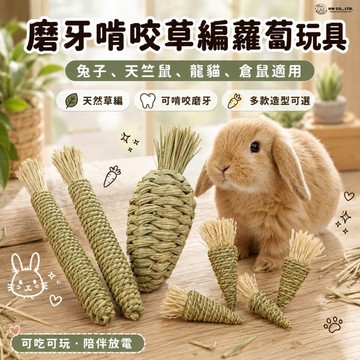 HW｜天然磨牙啃咬玩具｜玉米葉水草蘿蔔‧編織水草蘿蔔