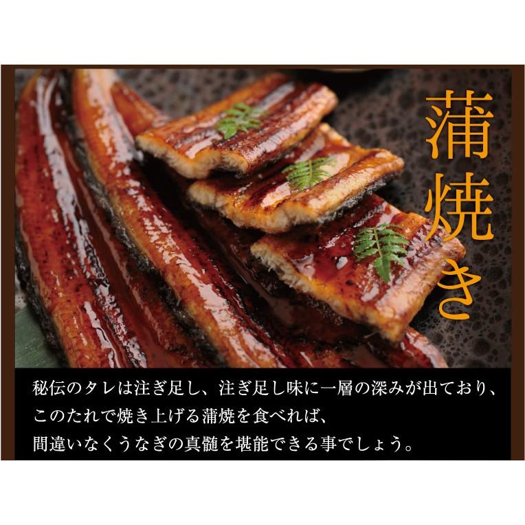 《竹》２箱セット 送料無料 うなぎの詰め合わせ 浜名湖産 送料無料 静岡県 国産 贈答用 お中元 お歳暮 お誕生日 父の日 母の日 敬老の日 ご贈答用